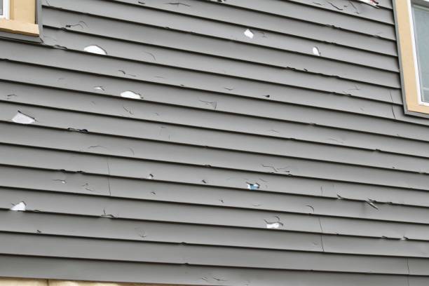 Isle Of Hope, GA Siding Installation & Repair Company